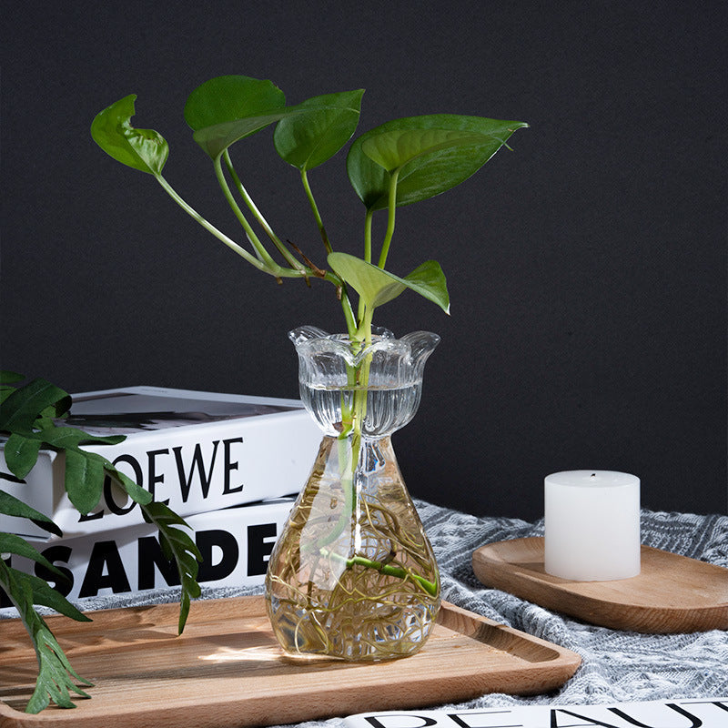 Floral Glass Hydroponic Desktop Plant Vase