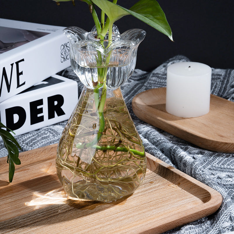 Floral Glass Hydroponic Desktop Plant Vase